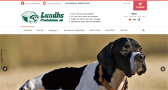 Desktop Screenshot of lundhs.com